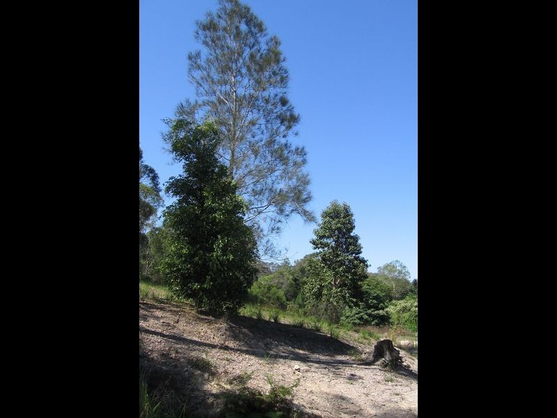 27-41 River Street, Broadwater NSW 2472