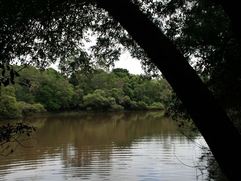 750/750 Bungawalbin-Whiporie Road VIA, Woodburn NSW 2472