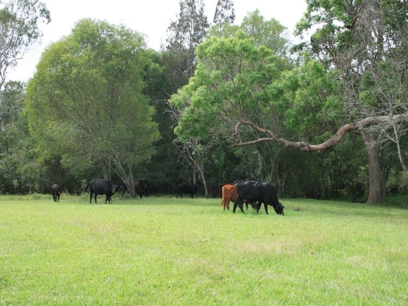 750/ Bungawalbin-Whiporie Road VIA, Woodburn NSW 2472