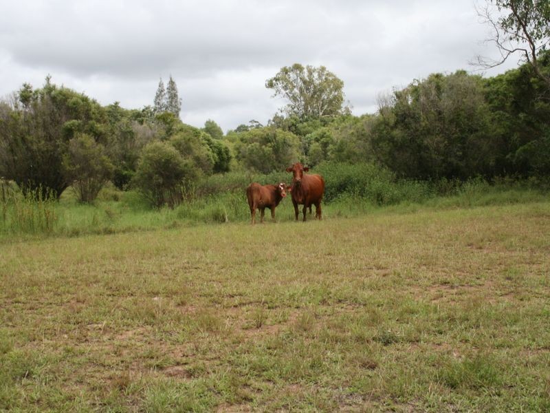 750/ Bungawalbin-Whiporie Road VIA, Woodburn NSW 2472