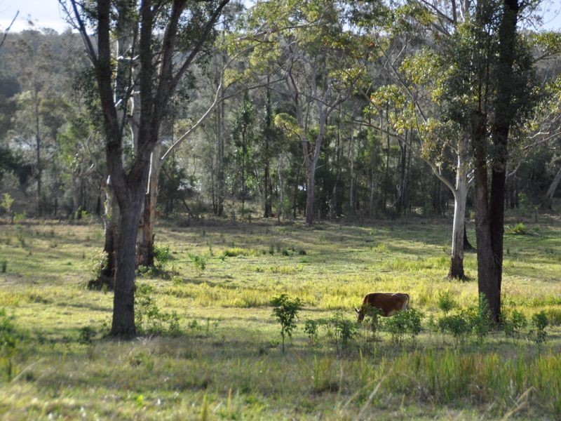 120 Brickella Road Trustums Hill VIA, Woodburn NSW 2472