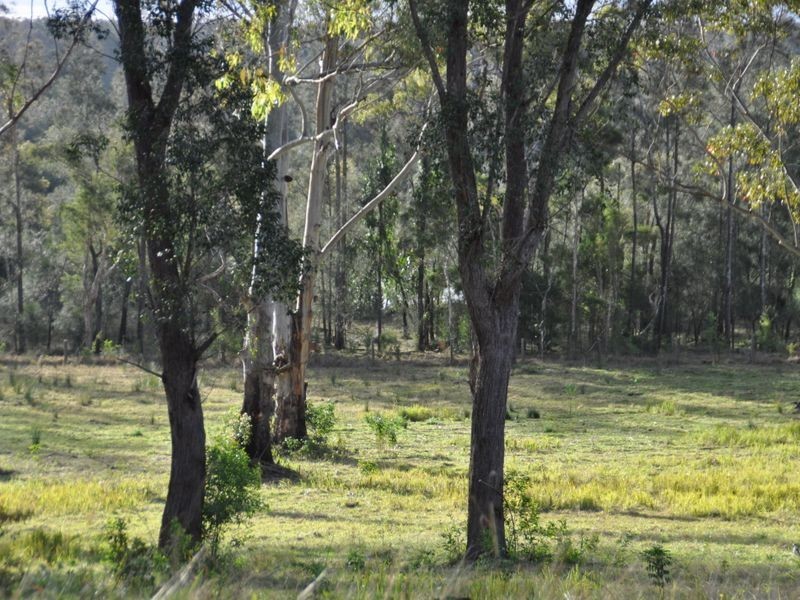 120 Brickella Road Trustums Hill VIA, Woodburn NSW 2472