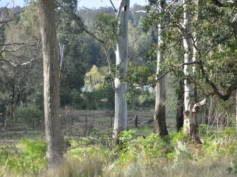 120 Brickella Road Trustums Hill VIA, Woodburn NSW 2472