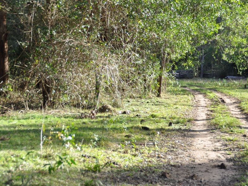 120 Brickella Road Trustums Hill VIA, Woodburn NSW 2472