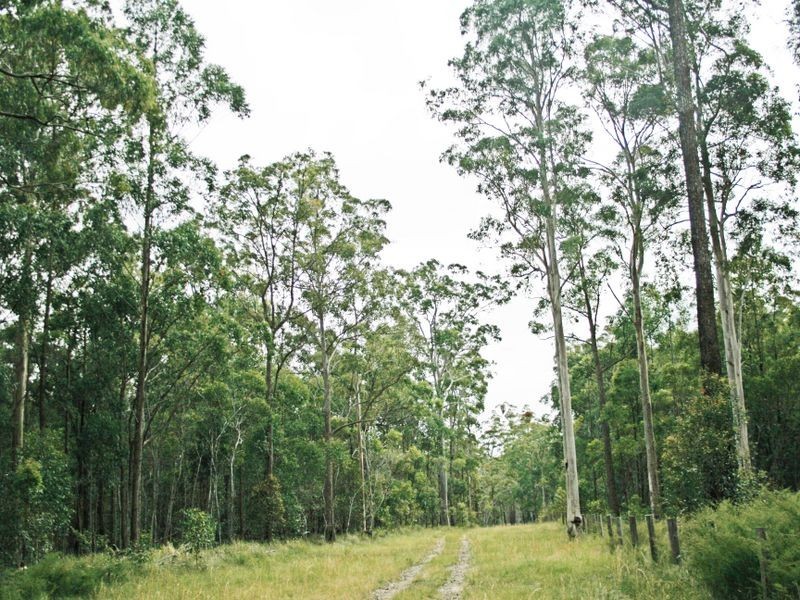 Lot 11 New Italy – Swan Bay Road, New Italy NSW 2472