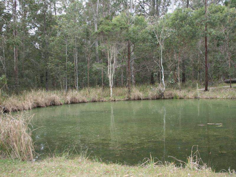 2420 Bungawalbin – Whipore Road, Banyabba NSW 2469