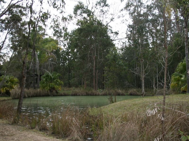 2420 Bungawalbin – Whipore Road, Banyabba NSW 2469