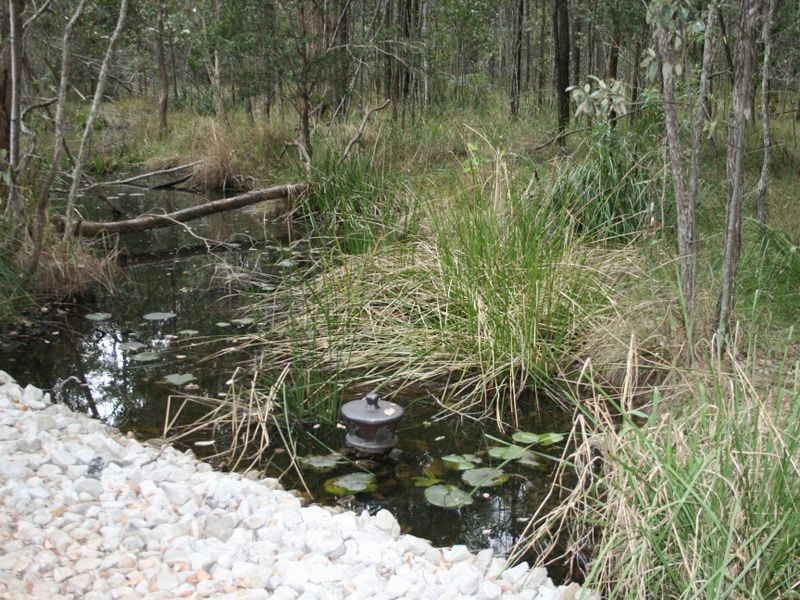 2420 Bungawalbin – Whipore Road, Banyabba NSW 2469