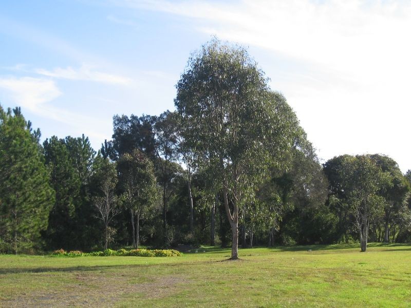 81 Trustums Hill Road, Woodburn NSW 2472