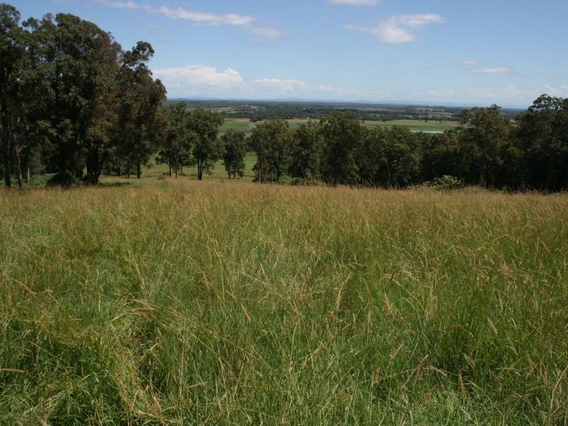 Bungawalbin NSW 2469