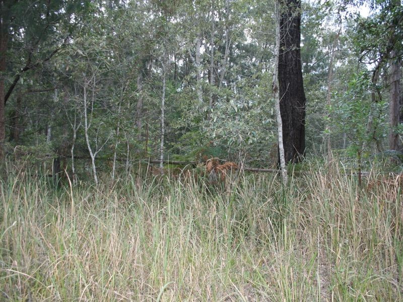 2/1475 Myall Creek Road, Bungawalbin NSW 2469