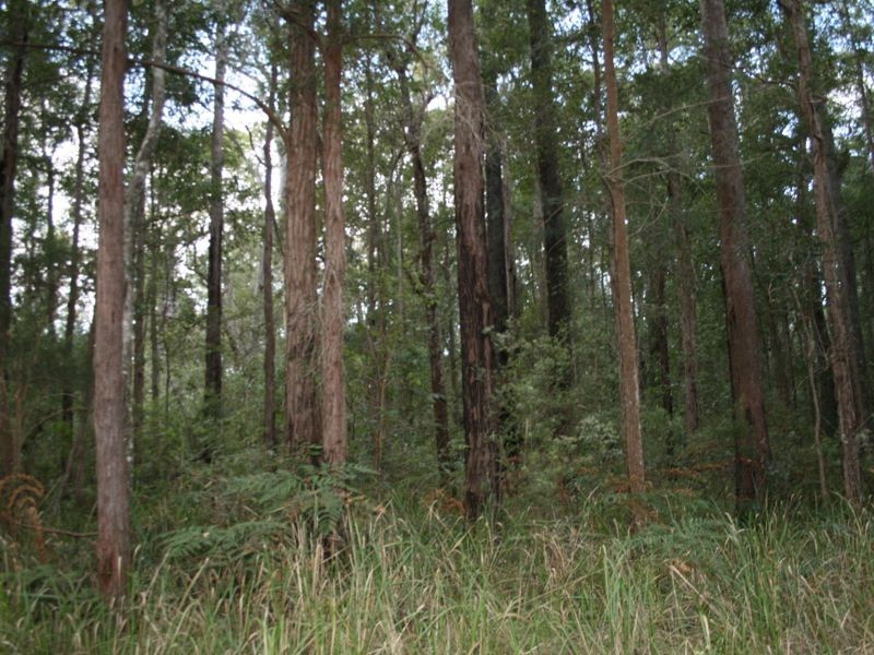 2/1475 Myall Creek Road, Bungawalbin NSW 2469