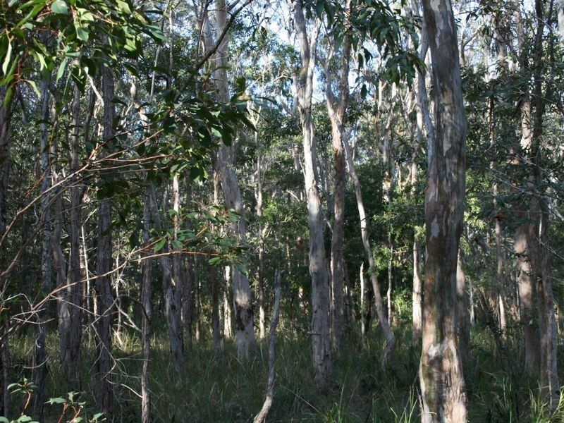 2/1475 Myall Creek Road, Bungawalbin NSW 2469