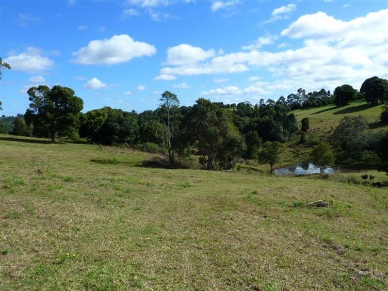 175 Connors Road, Tregeagle NSW 2480