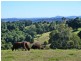 175 Connors Road, Tregeagle NSW 2480