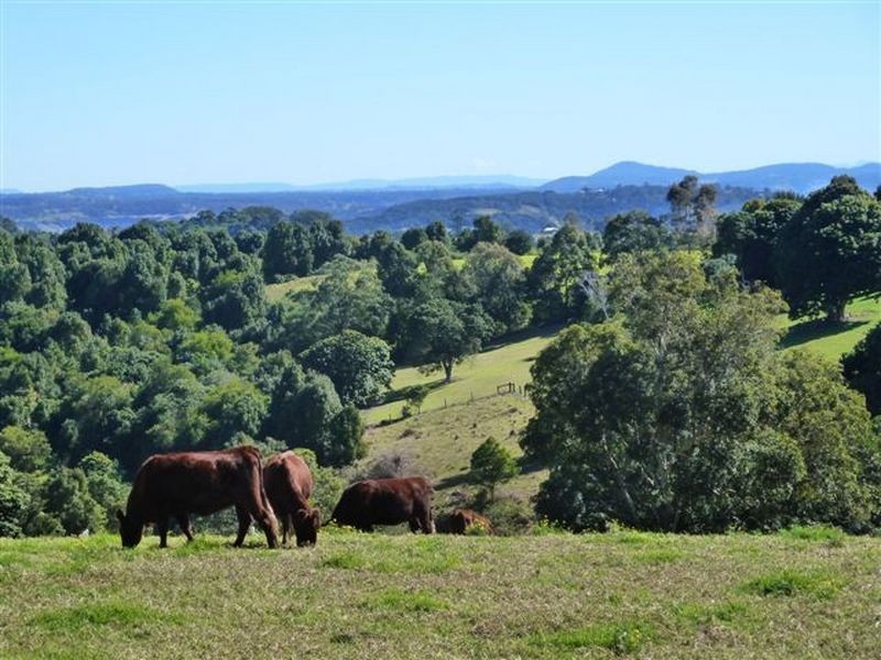 175 Connors Road, Tregeagle NSW 2480