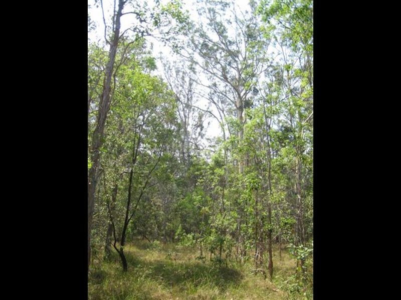 Lot 9 Bungawalbin – Whipore Road, Banyabba NSW 2469
