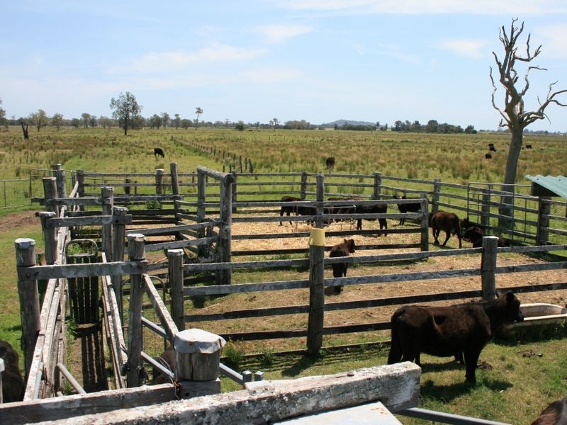 12 Rocky Mouth Creek Road, Woodburn NSW 2472