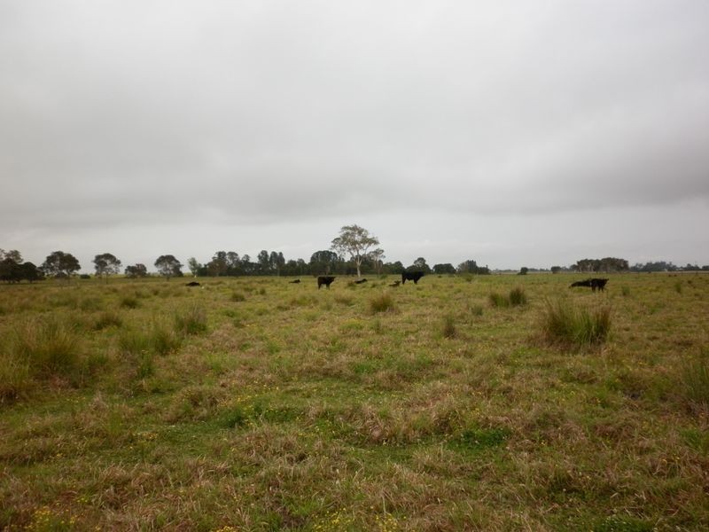 12 Rocky Mouth Creek Road, Woodburn NSW 2472