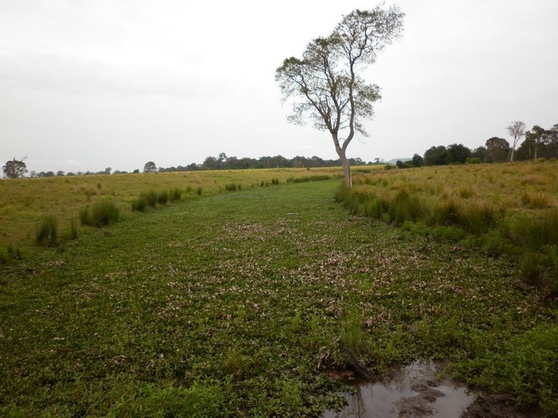 12 Rocky Mouth Creek Road, Woodburn NSW 2472