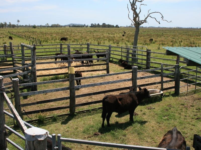 12 Rocky Mouth Creek Road, Woodburn NSW 2472