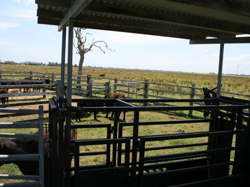 12 Rocky Mouth Creek Road, Woodburn NSW 2472