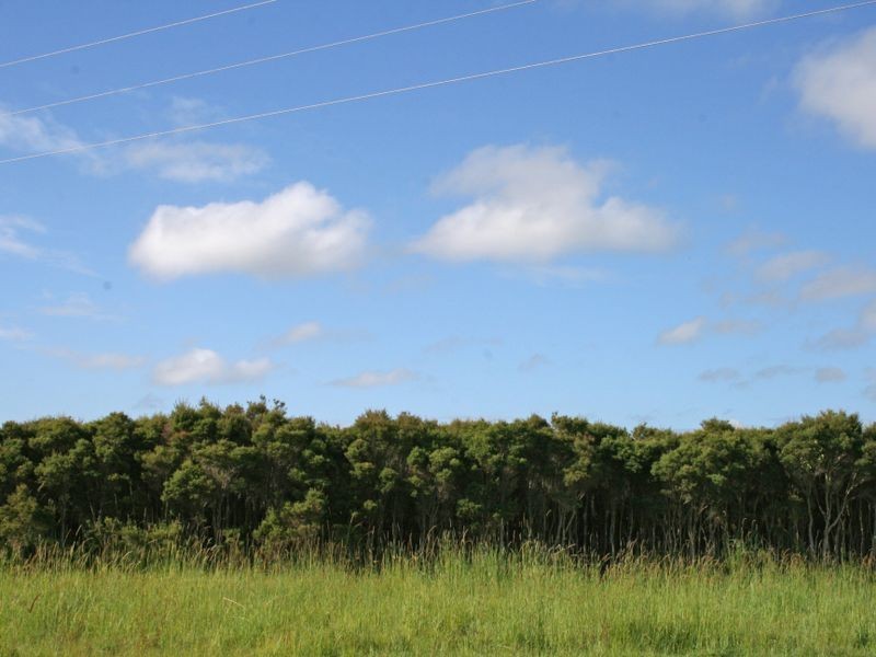 1927 Wyrallah Road, Tuckurimba NSW 2480