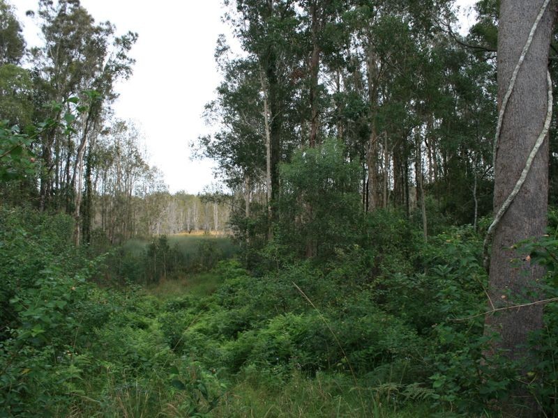 165 Whites Road, New Italy NSW 2472