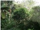 Lots 3 & 4 River Street, Broadwater NSW 2472