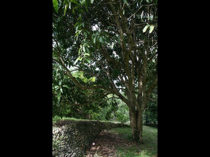Lots 3 & 4 River Street, Broadwater NSW 2472
