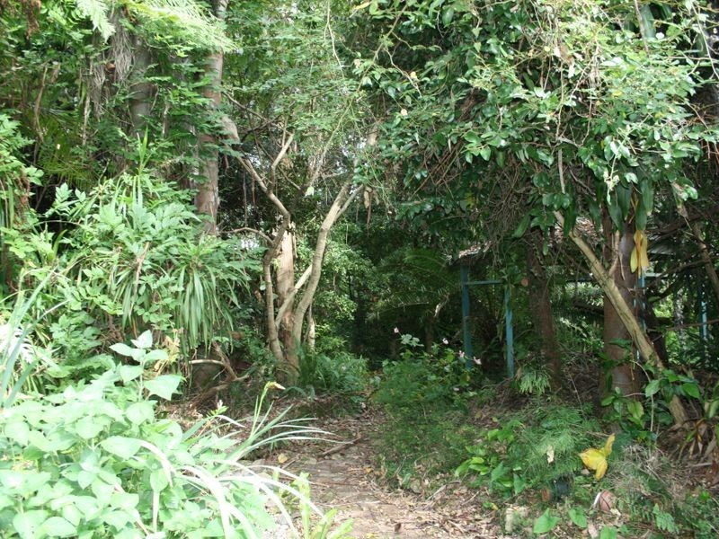 Lots 3 & 4 River Street, Broadwater NSW 2472