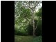 Lots 3 & 4 River Street, Broadwater NSW 2472