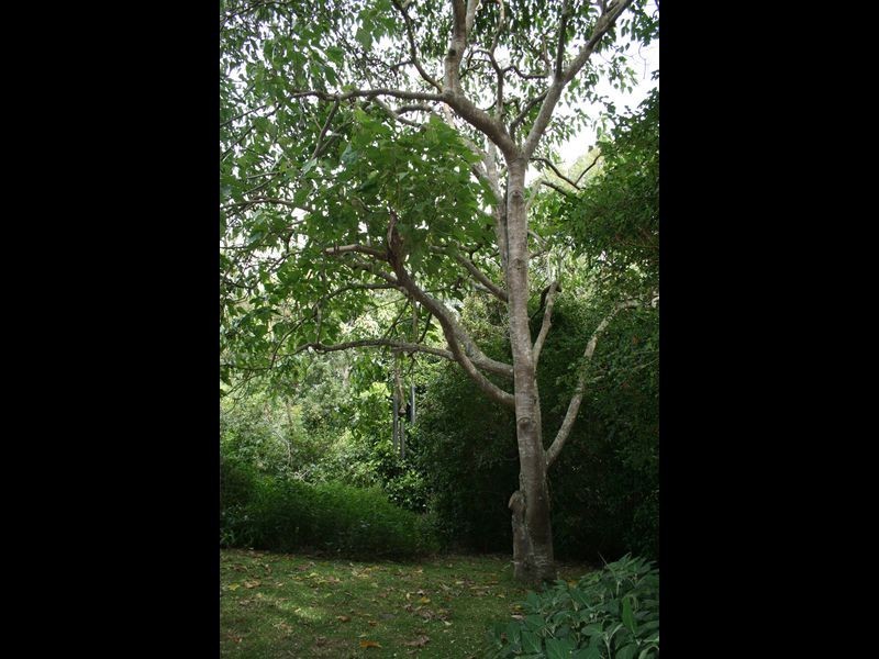 Lots 3 & 4 River Street, Broadwater NSW 2472