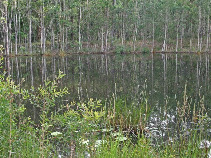 1045 Swan Bay New Italy Road, New Italy NSW 2472