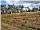 lot 1 DP11 Woodburn Evans Head Road, Woodburn NSW 2472
