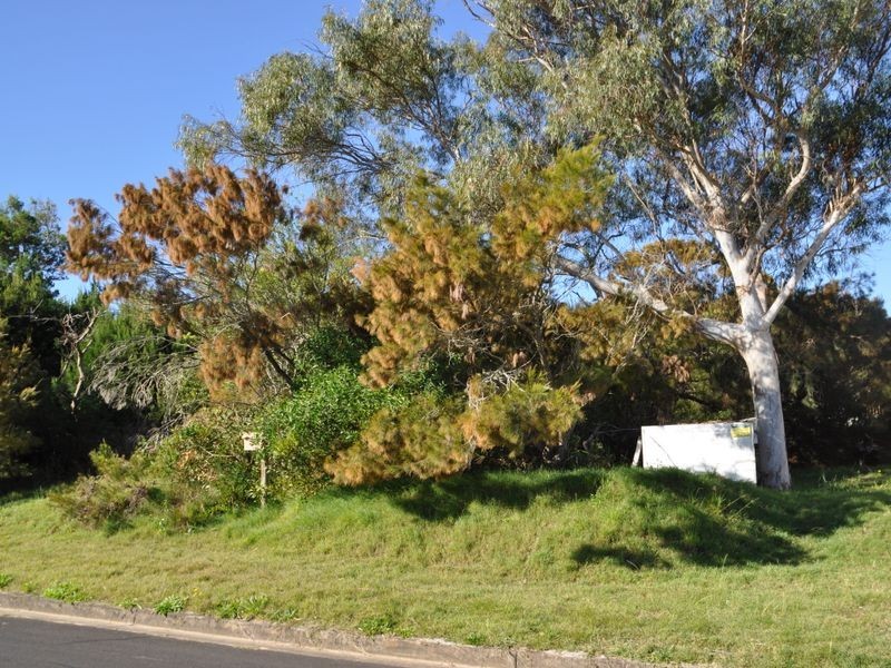 39 Riverview Street, Evans Head NSW 2473