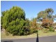 39 Riverview Street, Evans Head NSW 2473