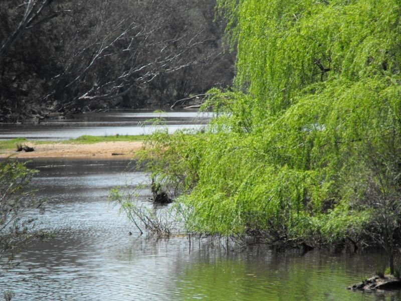 8691 Bruxner Highway, Tenterfield NSW 2372