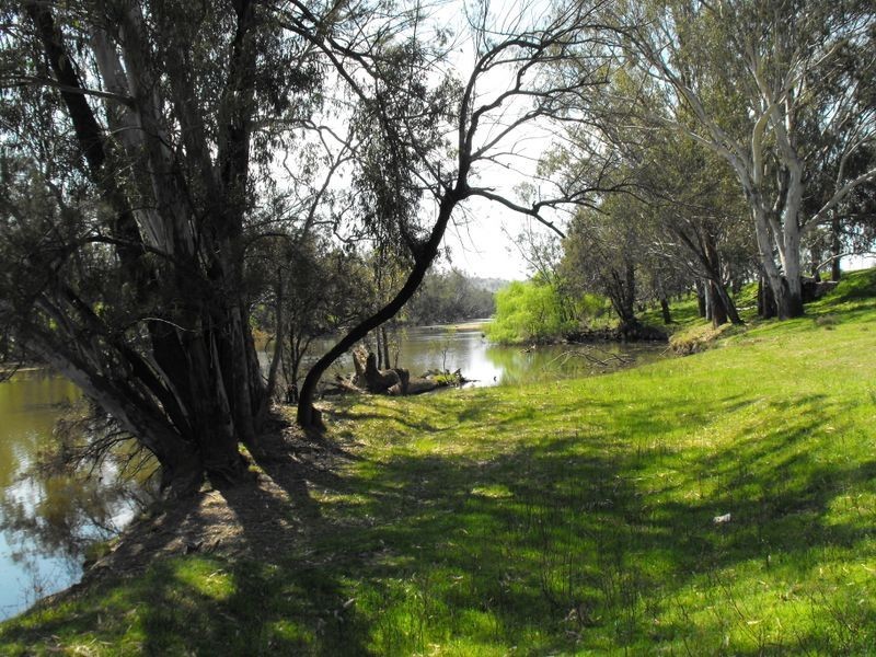 8691 Bruxner Highway, Tenterfield NSW 2372