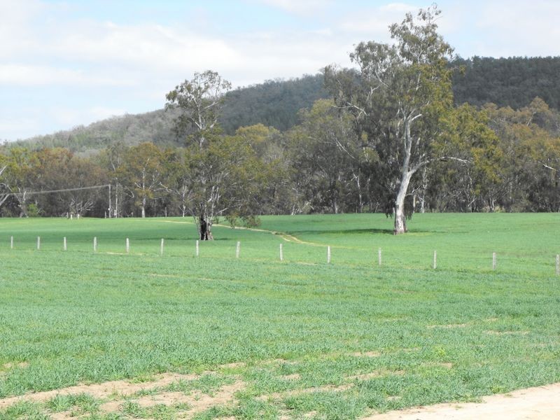 8691 Bruxner Highway, Tenterfield NSW 2372