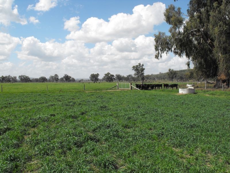 8691 Bruxner Highway, Tenterfield NSW 2372