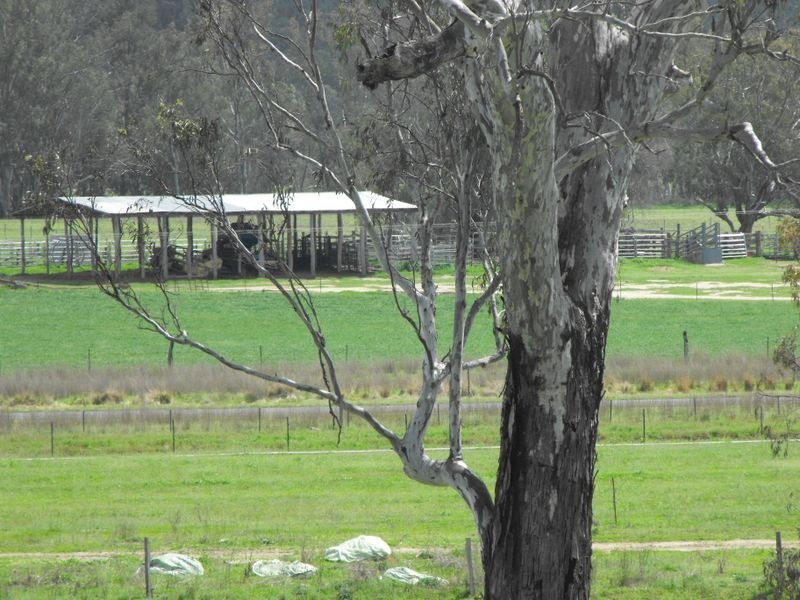 8691 Bruxner Highway, Tenterfield NSW 2372