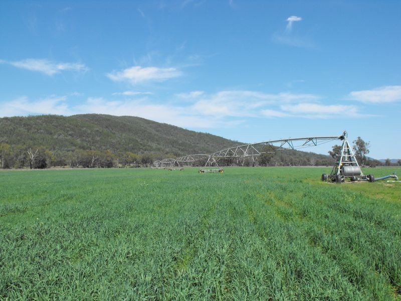 8691 Bruxner Highway, Tenterfield NSW 2372