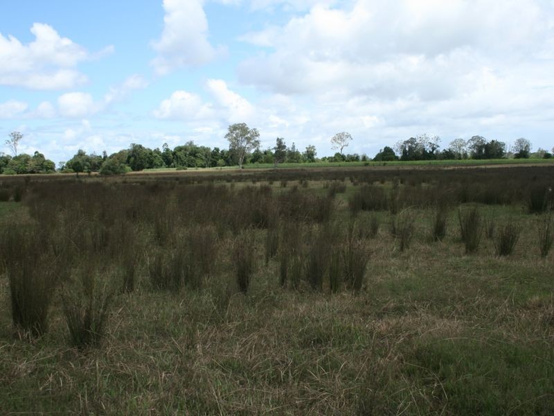 36 Goswells Road, Coraki NSW 2471