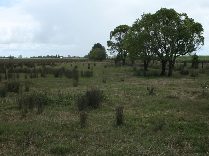 36 Goswells Road, Coraki NSW 2471