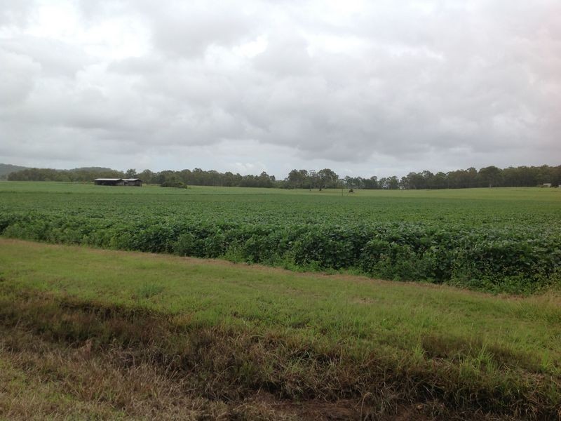 101 3 & 14/ Casurina Drive, Swan Bay NSW 2471