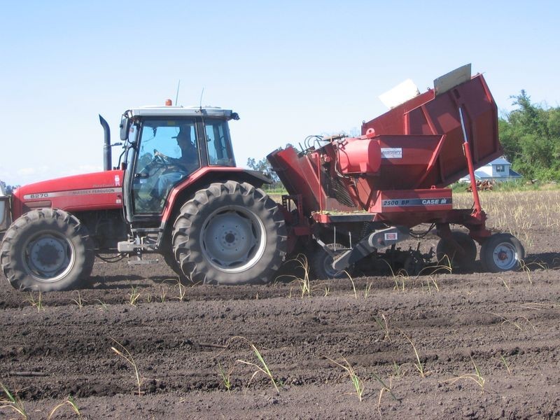 101 3 & 14/ Casurina Drive, Swan Bay NSW 2471