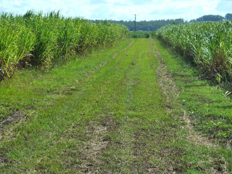 101 3 & 14/ Casurina Drive, Swan Bay NSW 2471