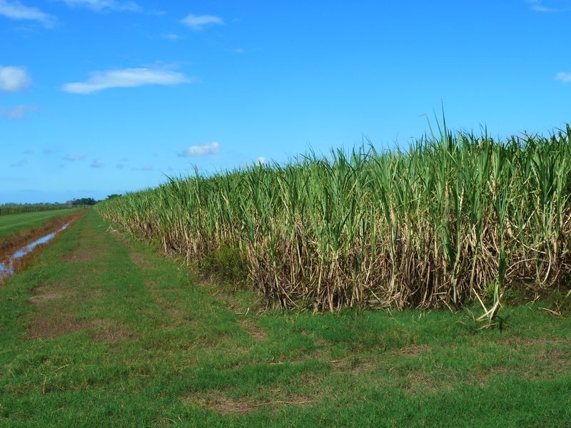 101 3 & 14/ Casurina Drive, Swan Bay NSW 2471