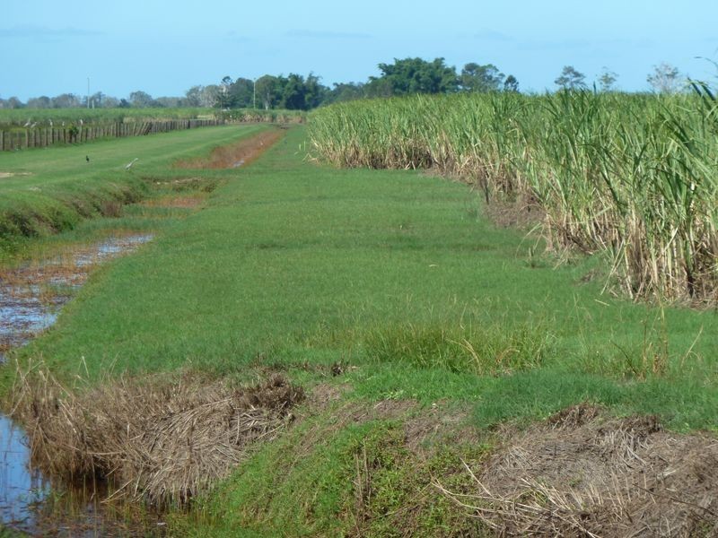 101 3 & 14/ Casurina Drive, Swan Bay NSW 2471